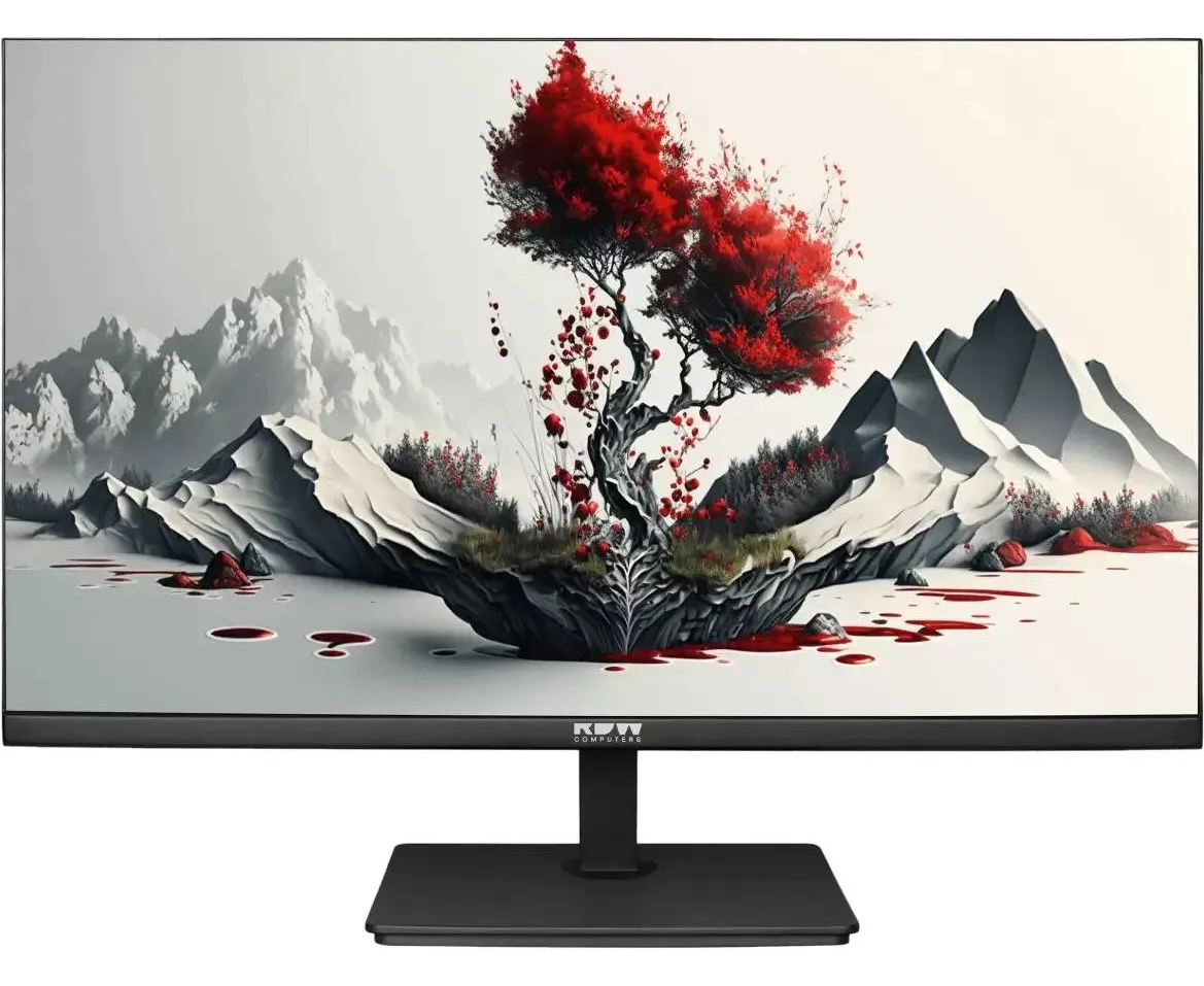 Монитор RDW COMPUTERS 2401 K R (2401 K/F00 В3100 V2 A1 H) 23.8" 1920x1080, IPS, 100 Гц, 1х HDMI, 1х DP, черный