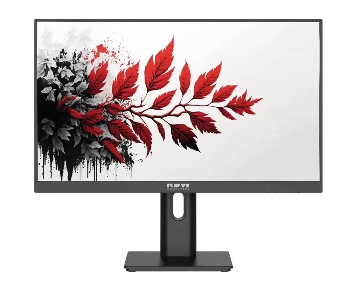Монитор RDW Computers RDW2701 K (RDW2701 K/Q03 В3100 V2 A1) 27" IPS QHD черный 1ms HDMI DP USB M/M HAS Piv 100 Hz 350cd In
