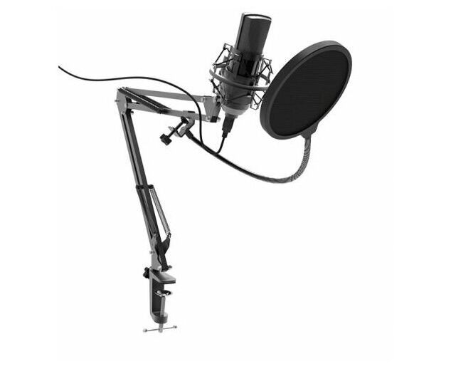 Микрофон Ritmix RDM-180 черный