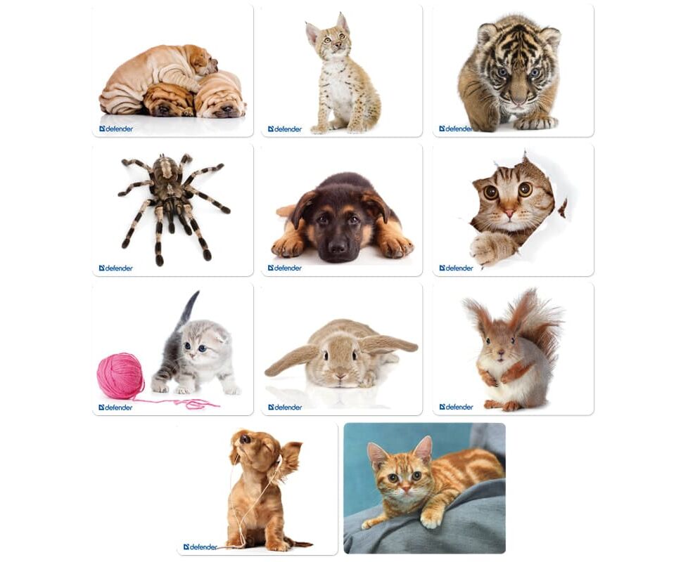 Коврик для мыши DEFENDER Silk (50706) Assorti