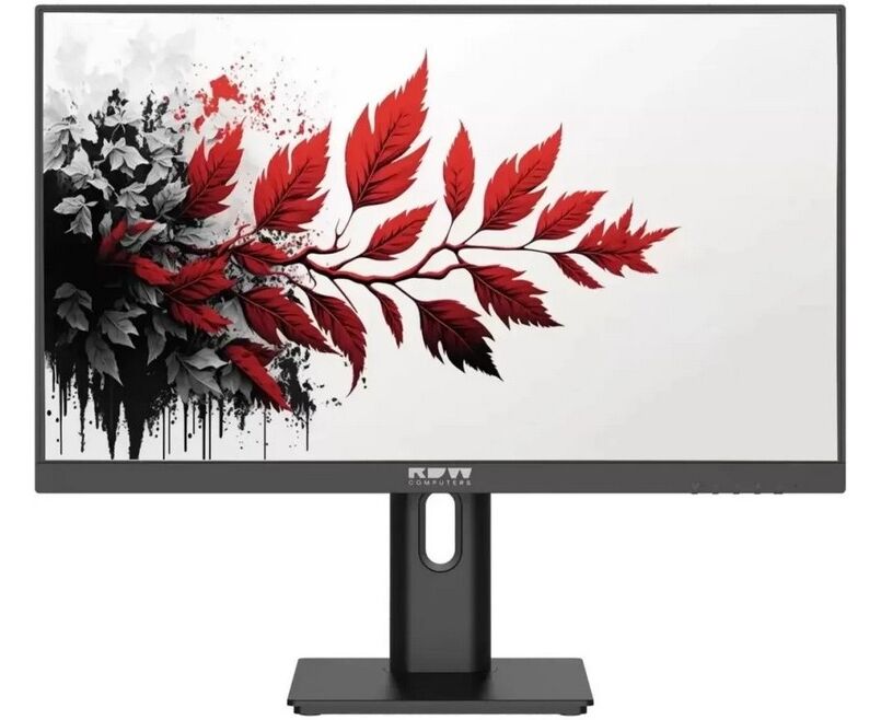 Монитор RDW Computers RDW2701 K (2701 K/Q03 В3100 V2 A1 H) черный IPS 1ms HDMI M/M матовая HAS Piv 350cd 178гр/178гр 2560x1440 100 Hz DP QHD (RUS)