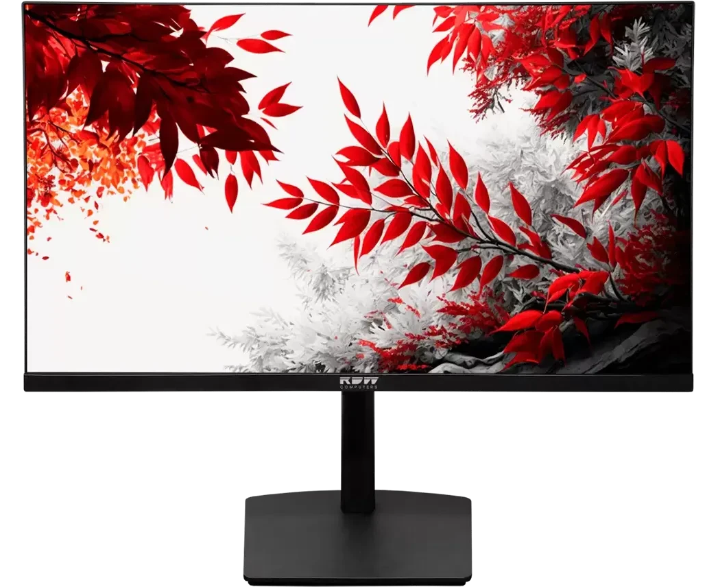 Монитор RDW Computers RDW3207 (3207 K/Q12 B3100 V2 A1 B) черный IPS 1ms HDMI M/M HAS Piv 350cd 178гр/178гр 2560x1440 100 Hz VGA DP QHD USB (RUS)