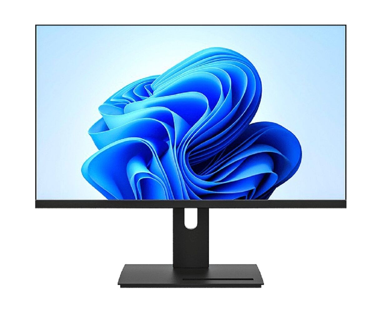 Монитор Мониторус HS 2700 (HS2700-K-VHPI-AS100 R) 27" 1920x1080, 100 Гц, IPS, 16:9,5мс, VGA, HDMI, DP, 1000:1, 178/178, 250cd, Динамики