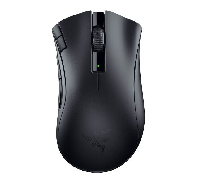 Игровая мышь Razer Deathadder V2 X Hyper Speed RZ01-04130100-R3 G1