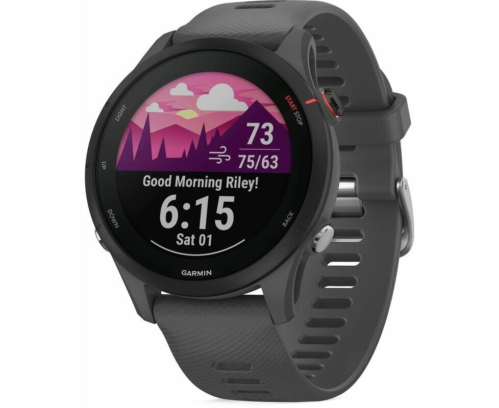Smart-часы Garmin Forerunner 255 (010-02641-10) 45,6мм темно-серый