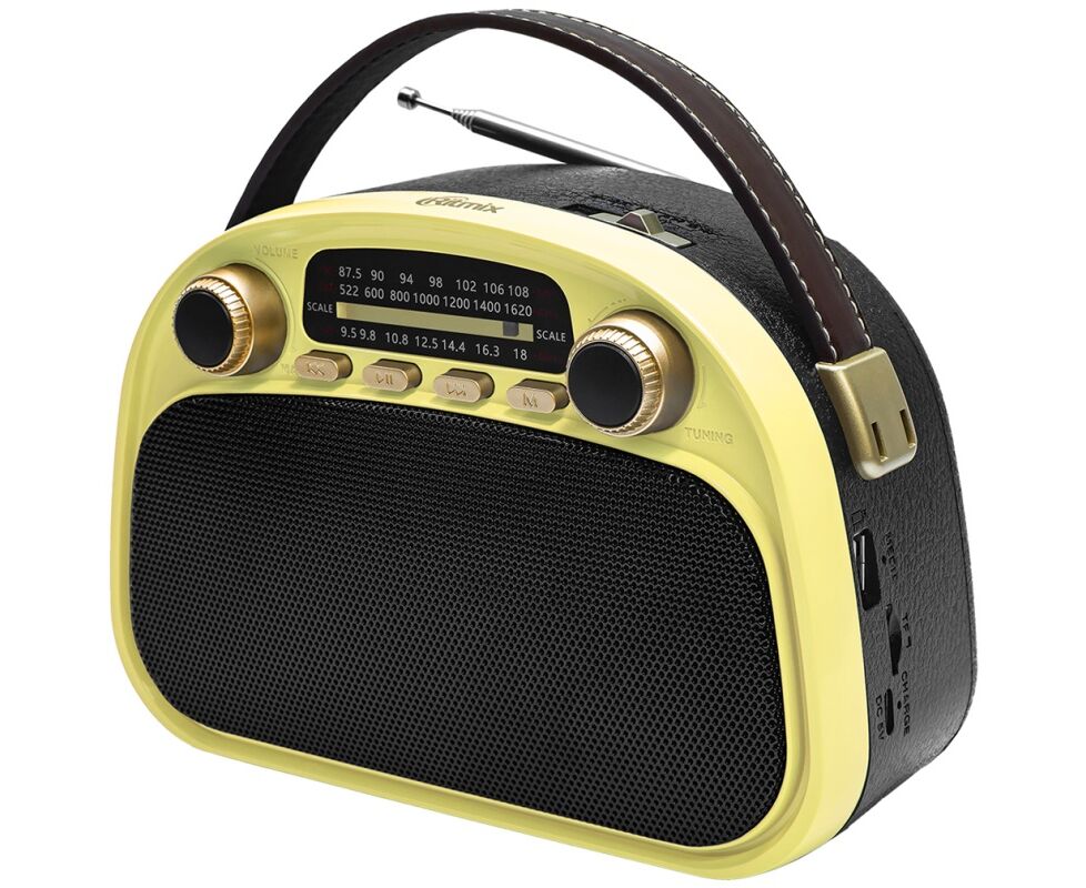 Радиоприемник RITMIX RPR-040 Lemon