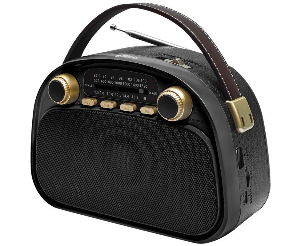 Радиоприемник RITMIX RPR-040 Black