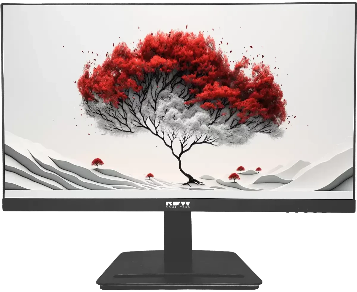 Монитор RDW Computers 2401 K (2401 K/F05 B0100 V2 A1 H) черный IPS 4ms HDMI 300cd 178гр/178гр 1920x1080 100 Hz VGA DP FHD 4.185кг (RUS)