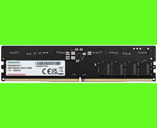 ОЗУ ADATA AD5 U560016 G-S DIMM 16 GB DDR5-5600