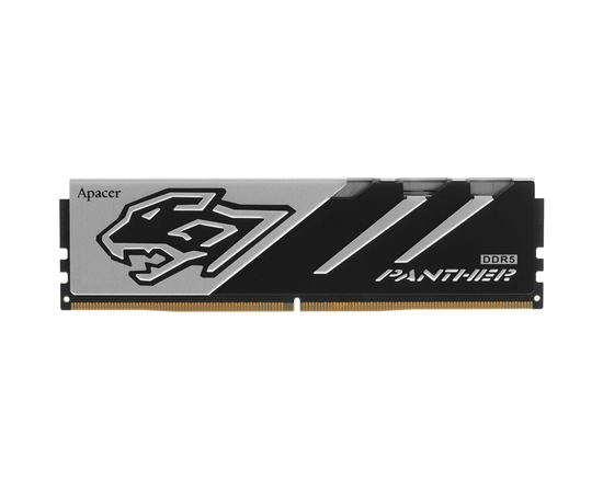 ОЗУ Apacer Panther (AH5 U16 G60 C6227 BAA-1) DDR5 16 GB