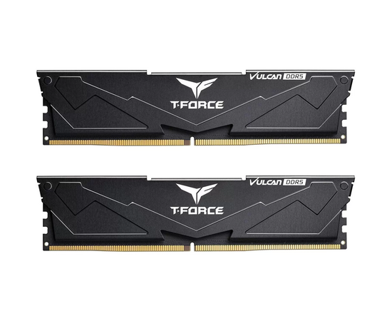 ОЗУ TEAMGROUP T-Force Vulcan 32 GB (FLBD532 G6000 HC38 ADC01) (2x16 GB) DDR5 6000 M Hz CL38 (38-38-38-78) 1.25 V / Black