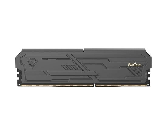 ОЗУ Netac Shadow III NTSHD5 P64 SP-16 K DDR 5 DIMM 16 Gb 6400 Mhz, C32