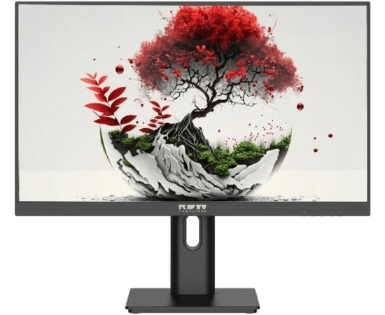 Монитор RDW Computers RDW2401 K (2401 K/F08 B3100 V2 A1 A) черный IPS 4ms HDMI M/M HAS Piv 350cd 178гр/178гр 1920x1080 100 Hz VGA DP FHD USB (RUS)